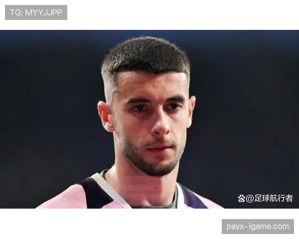 埃斯帕尼奥尔持续补强阵容，多名实力球员加盟引关注